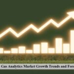 Oil-and-Gas-Analytics-Market-Growth-Trends-and-Forecast