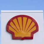 gato-do-mato-project