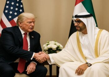 UAE Energy Investments in the US