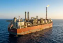 Mozambique Rovuma Venture Awards Deal to Technip, Partners Mozambique Rovuma Venture