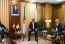 Algeria, Senegal Discuss Expanding Hydrocarbon Cooperation Four men in suits sit in a wood-paneled room for a formal diplomatic meeting, with flags and a portrait behind them.