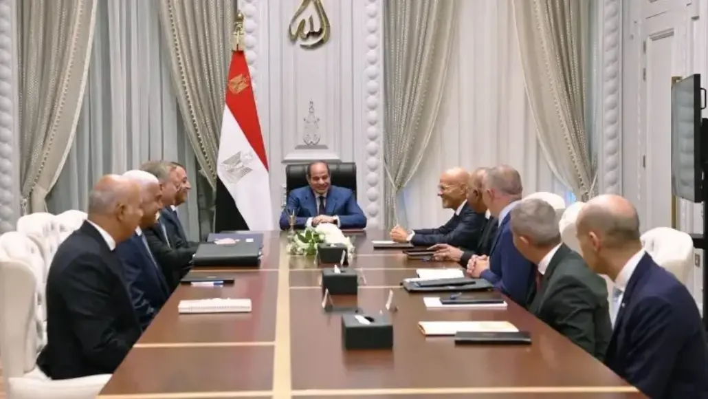 Formal meeting with government officials seated around a long conference table; the Egyptian flag and national emblem are visible behind the central chair.