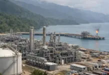 Papua LNG Project Nears FID with Latest Developments Coastal refinery complex with tall processing towers by the sea and a flaming flare on a pier, mountains in the background.