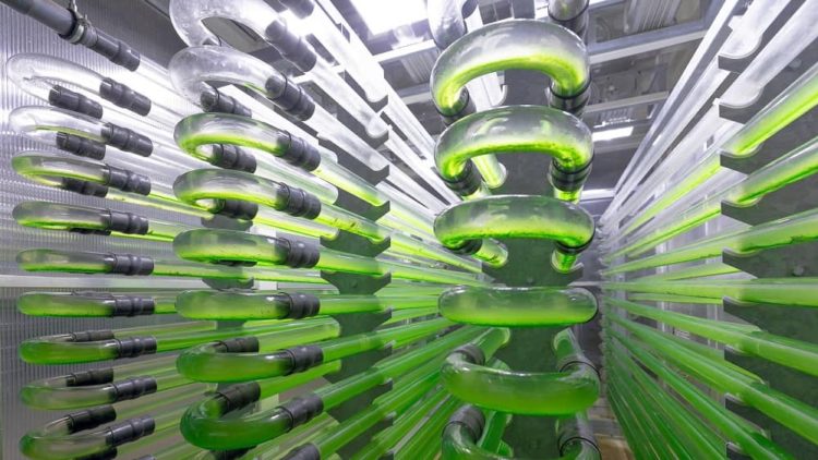 ExxonMobil Carbon capture