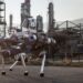 Productivity Boost In Oil And Gas Sector Thanks To Robotics